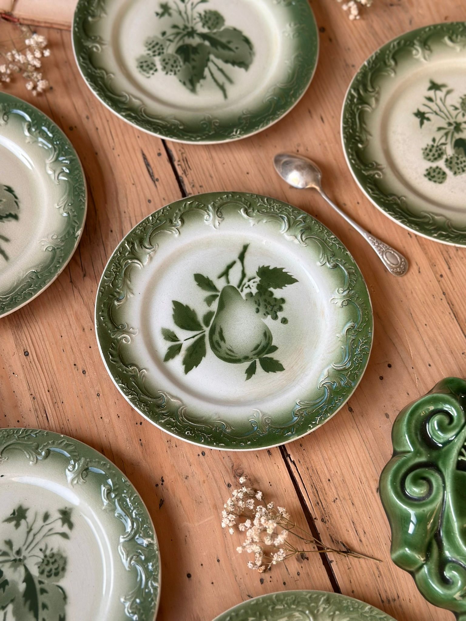 6 assiettes décor botanique - Pexonne