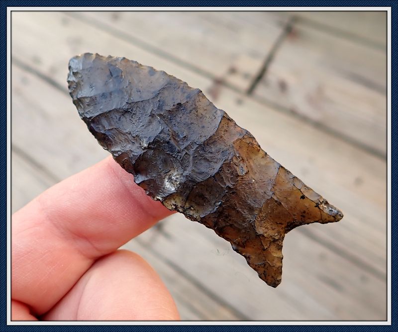 ~ Killer Translucent ~ Suwannee Co. Florida ~ Simpson Point ~