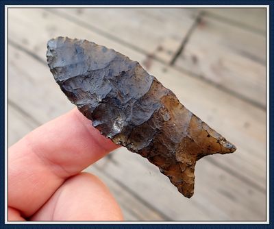 ~ Killer Translucent ~ Suwannee Co. Florida ~ Simpson Point ~