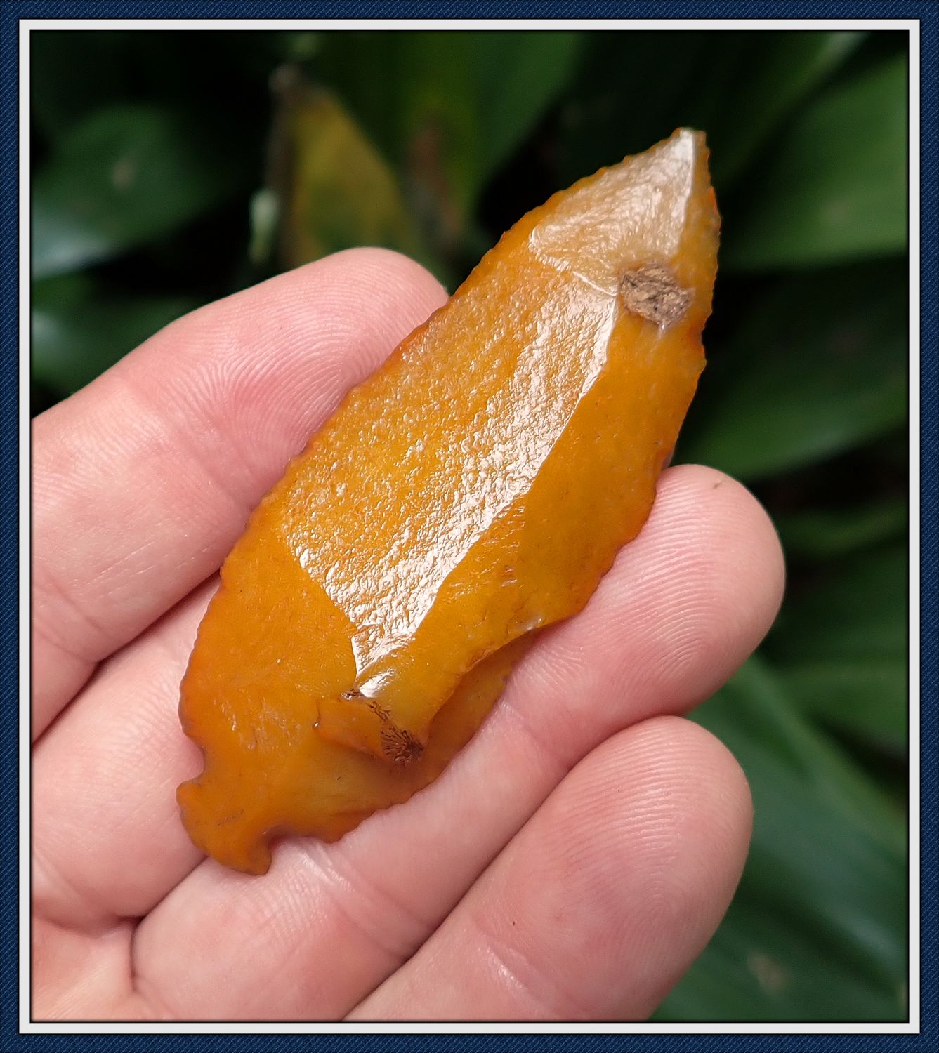 ~ Translucent Golden ~ Waller Knife ~ Grade 10