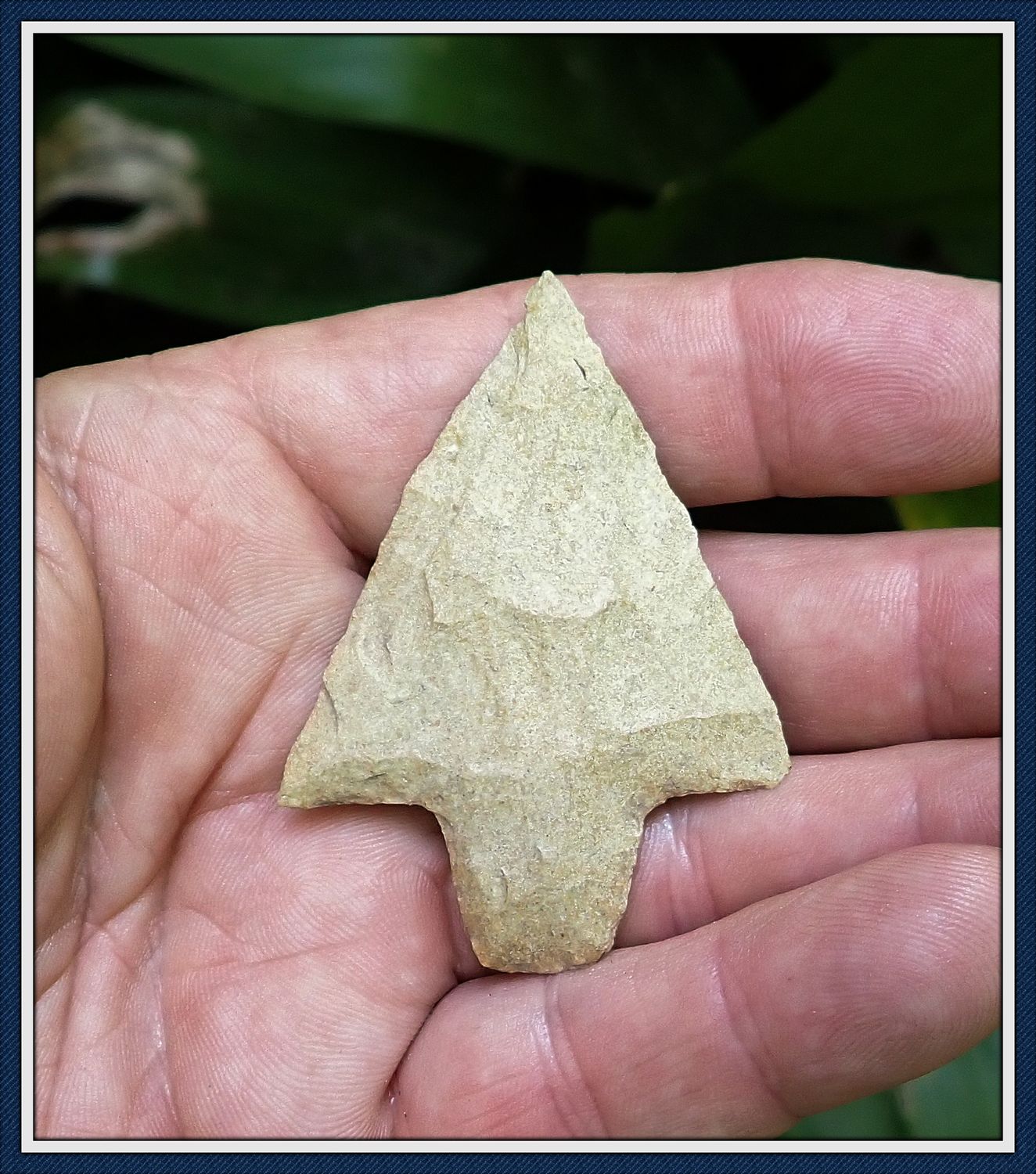 ~ Marion Co. Florida ~ Newnan Spear Point ~