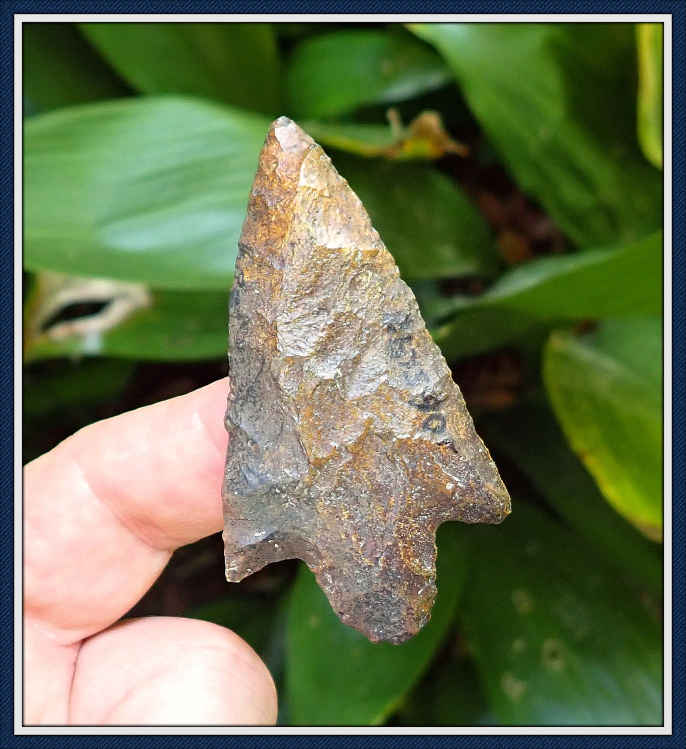 ~ Suwannee Co. Florida ~ Newnan Spear Point ~