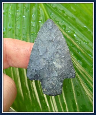~ Putnam Co. Florida ~ Alachua Spear Point ~