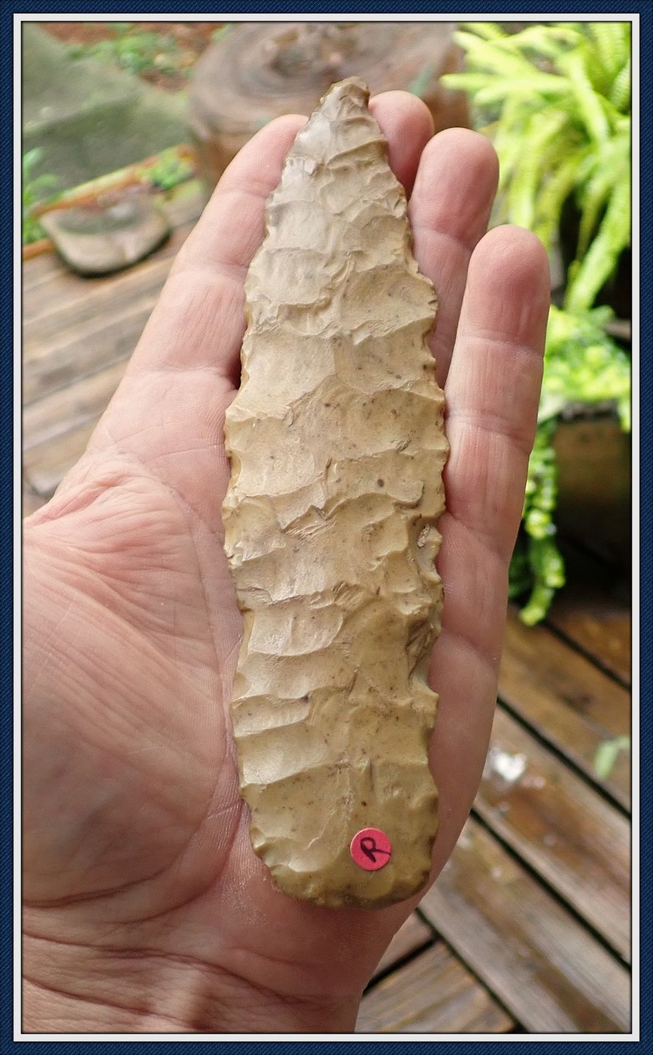 ~ Huge 6 3/4" ~ Archaic Knife Point  ~ Louisiana ~