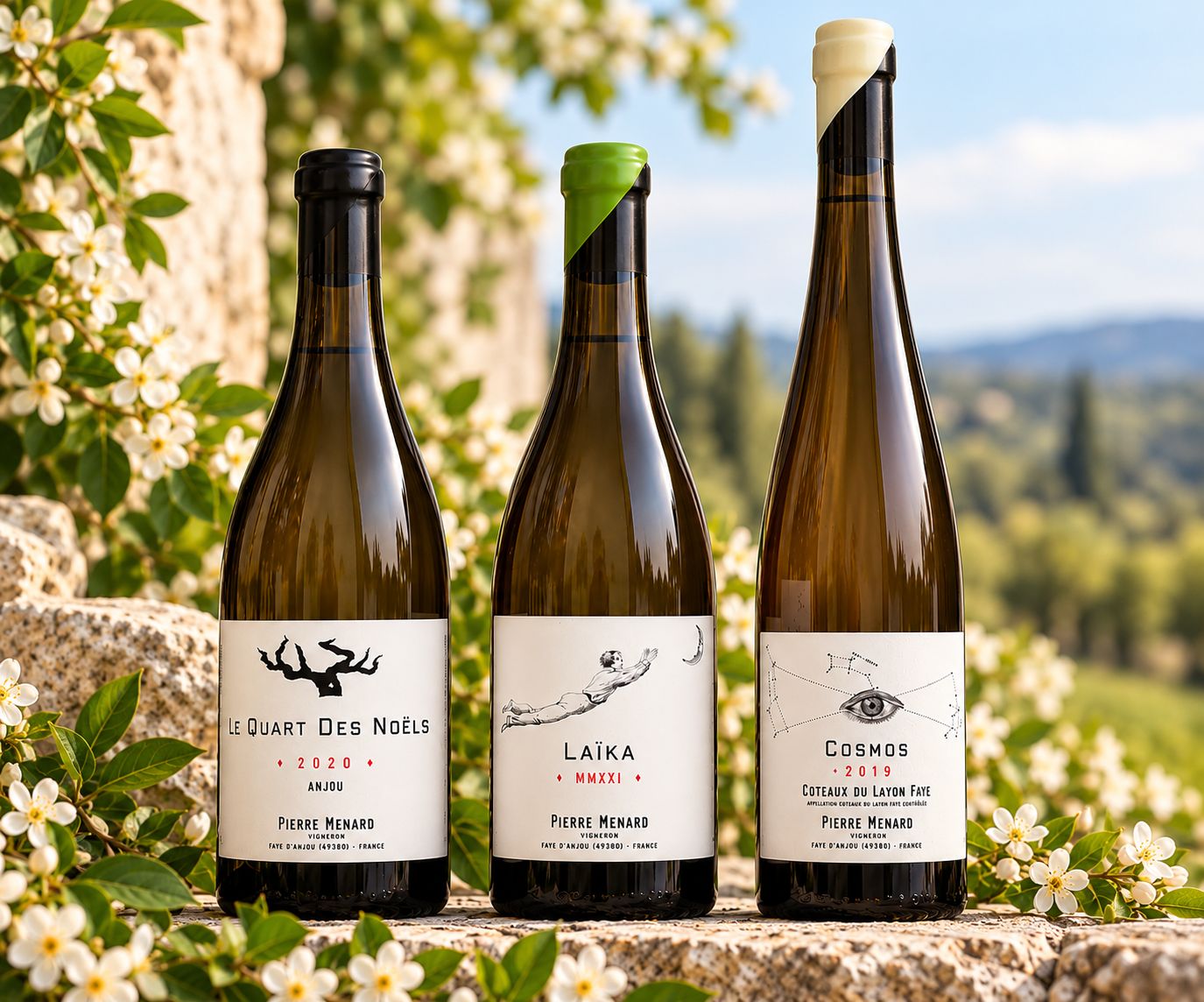 Loire Valley Discovery | Pierre Ménard Wine Set | Eight Wine Eight