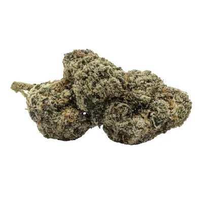 Biscotti - 28g