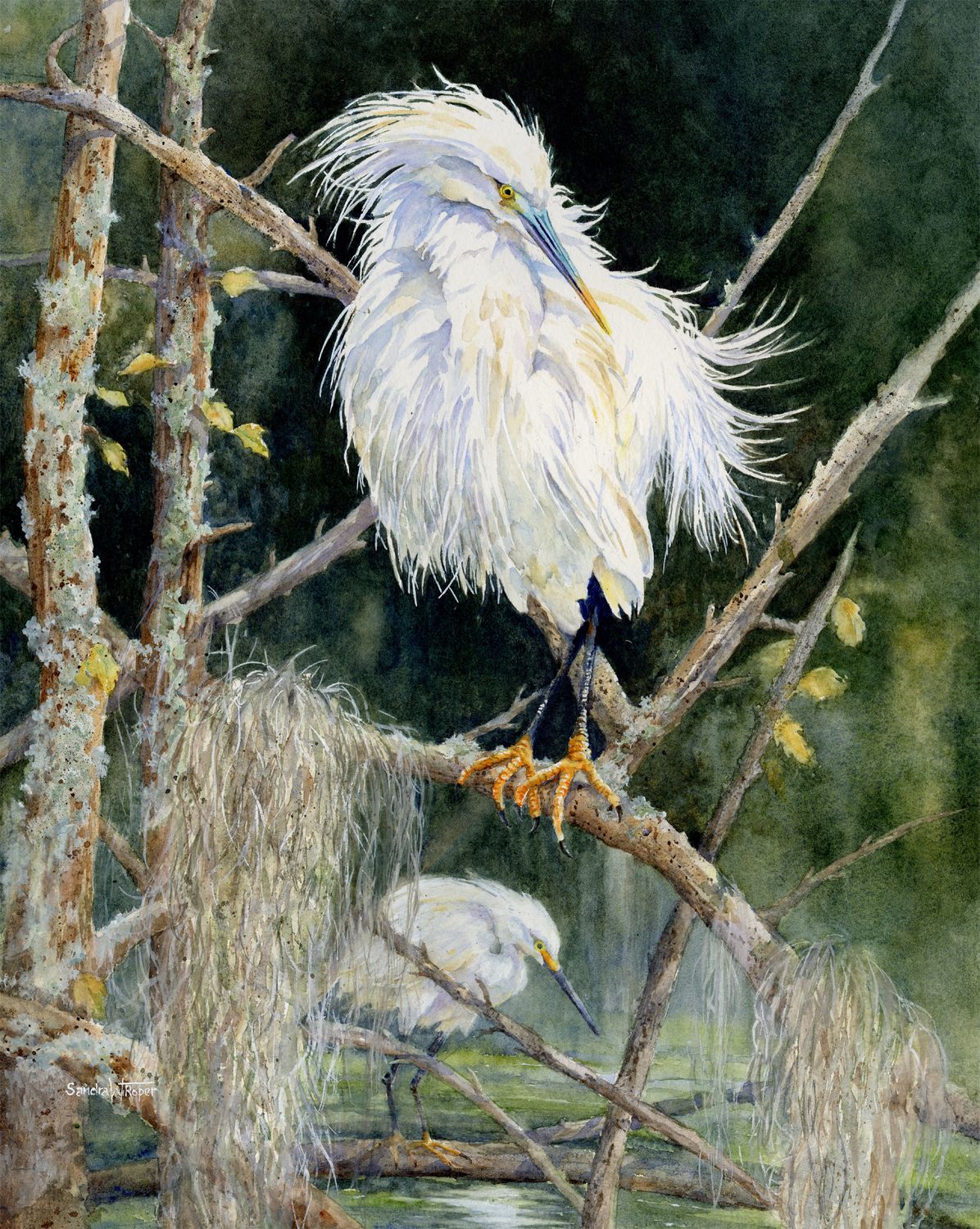 A Quiet Presence