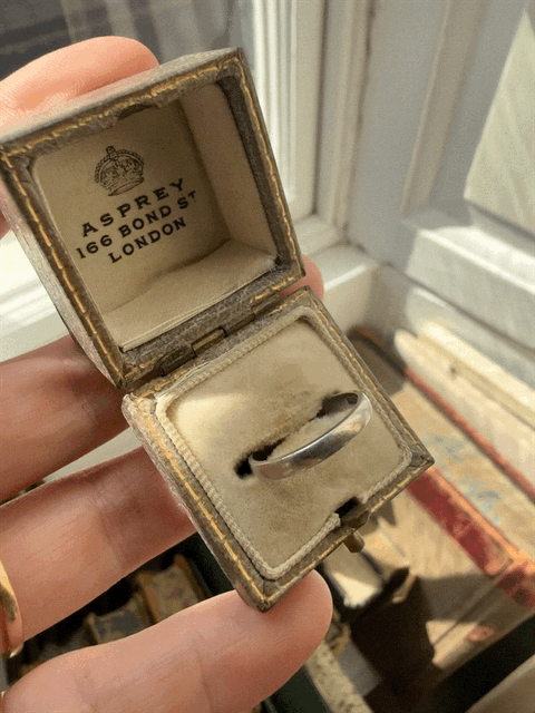 Vintage Platinum Band