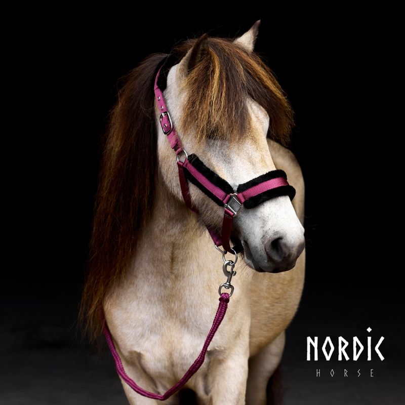 Nordic Horse COMFORT Halter Set w/Rope