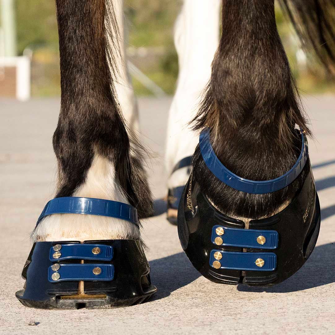 Front Straps Standard