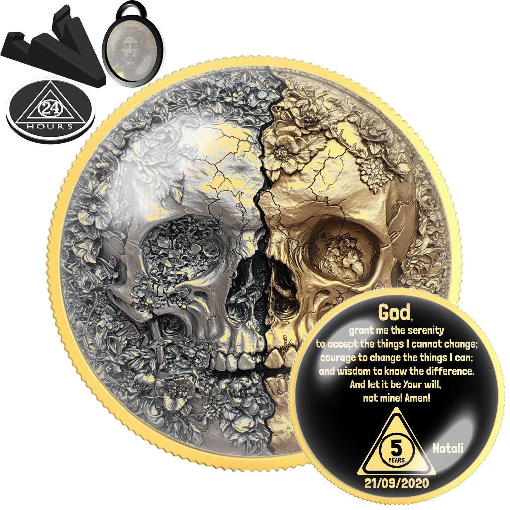 Skull Coin Sobriety Chip | One Day at Time | Sober Gift | Sponsor Thank You | Sobriety Anniversary | Recovery Coin