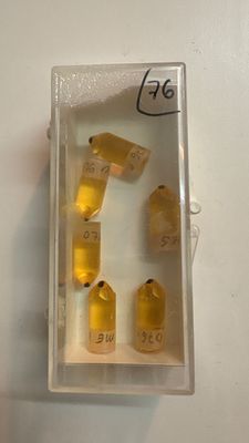 Bloques de muestra para ultramicrotomía. Alquiler cápsulas de resina biológicas
