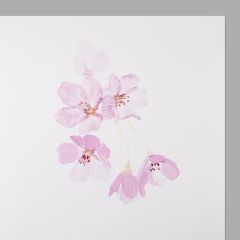 Cherry Blossom Art Card
