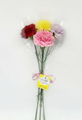 1 Single Carnation in a Sleeve