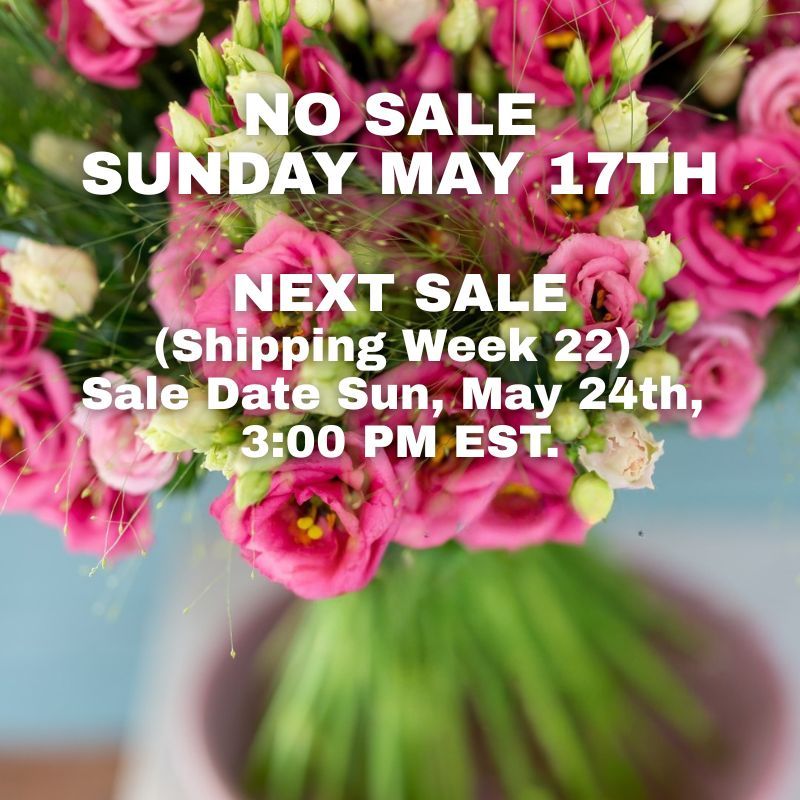 Week 21 NO SALE