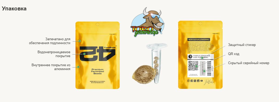 FastBuds - Z42 (fem.)