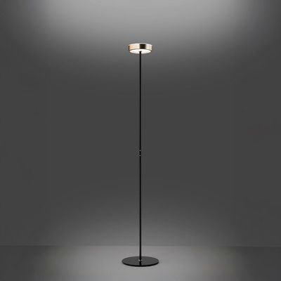 TAMBU DA TERRA TAMBU DA TERRA