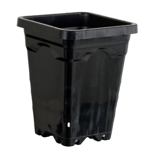 Active Aqua 5" x 5" Square Black Pot, 7" Tall