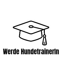 Online-Schnuppertermin zur Ausbildung zum/r HundetrainerIn (1:1)