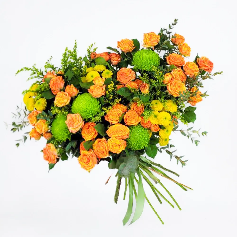 The story of the sun