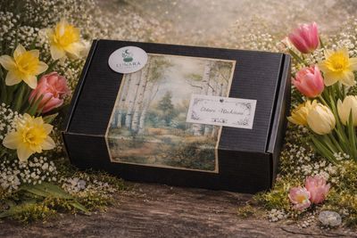 Die Lunara März Witchbox „Ostara & Wachstum“