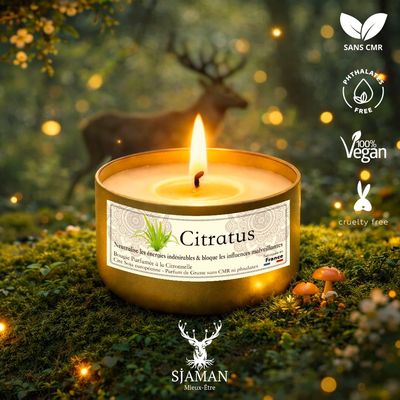 Bougie Citratus