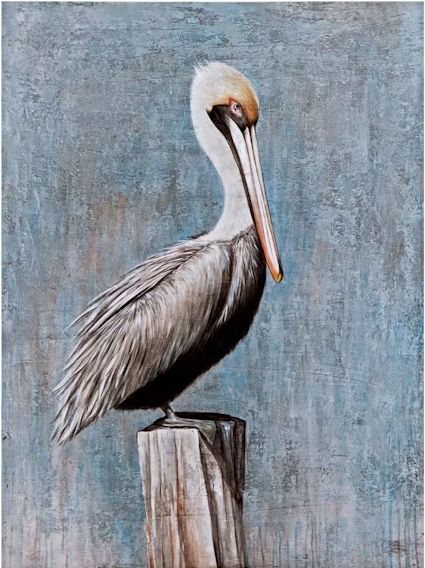 Pelican Canvas Art