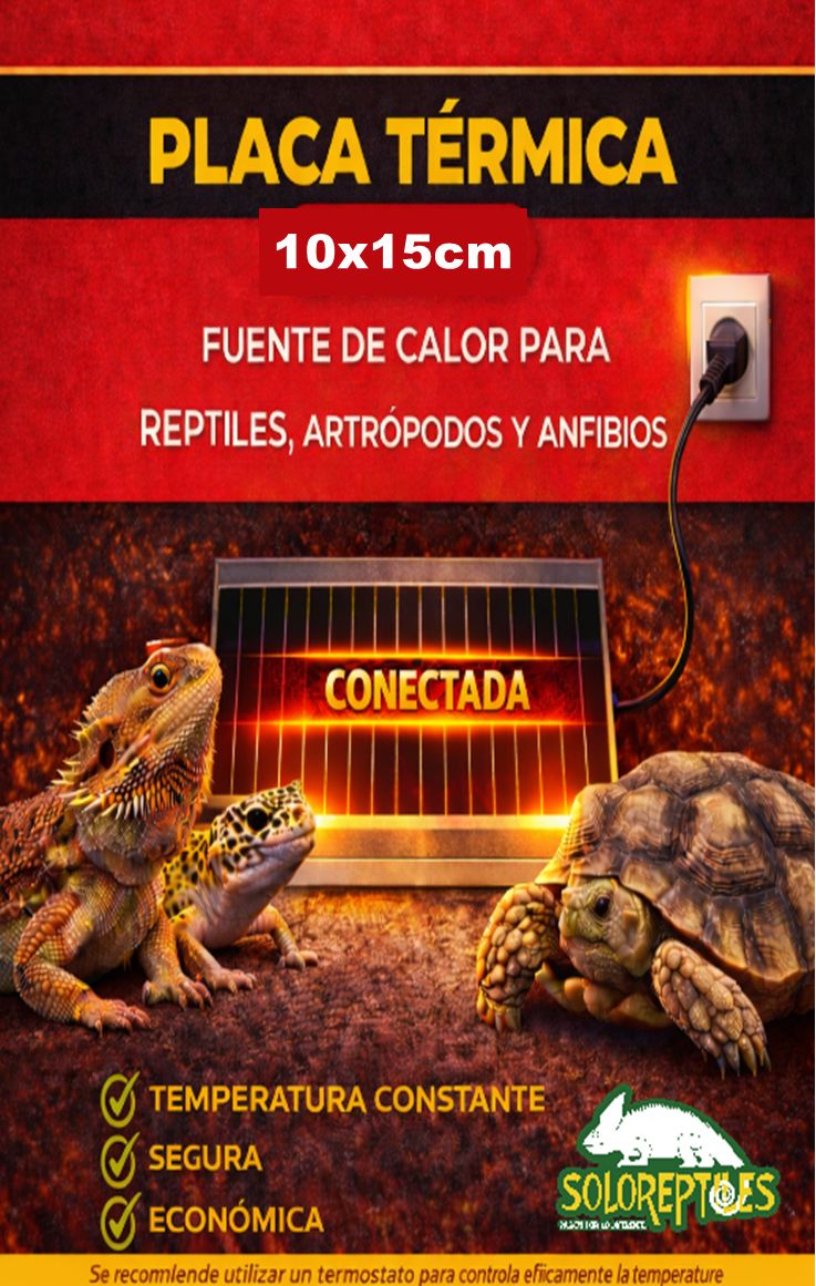 PLACA TERMICA 10X15cm