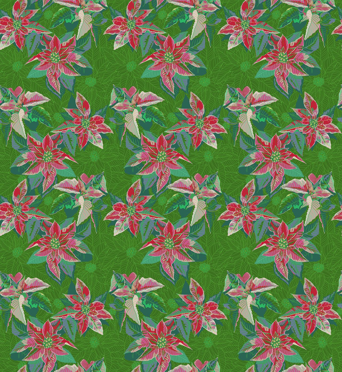 Pointsettia in Housewarming