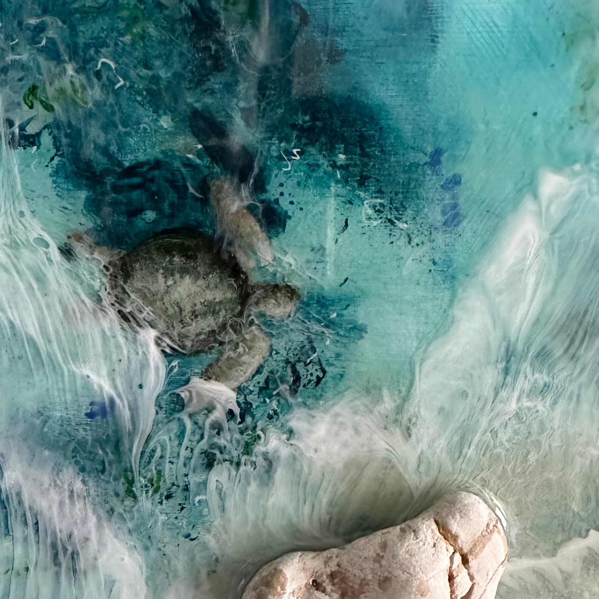 Seaweed Garden