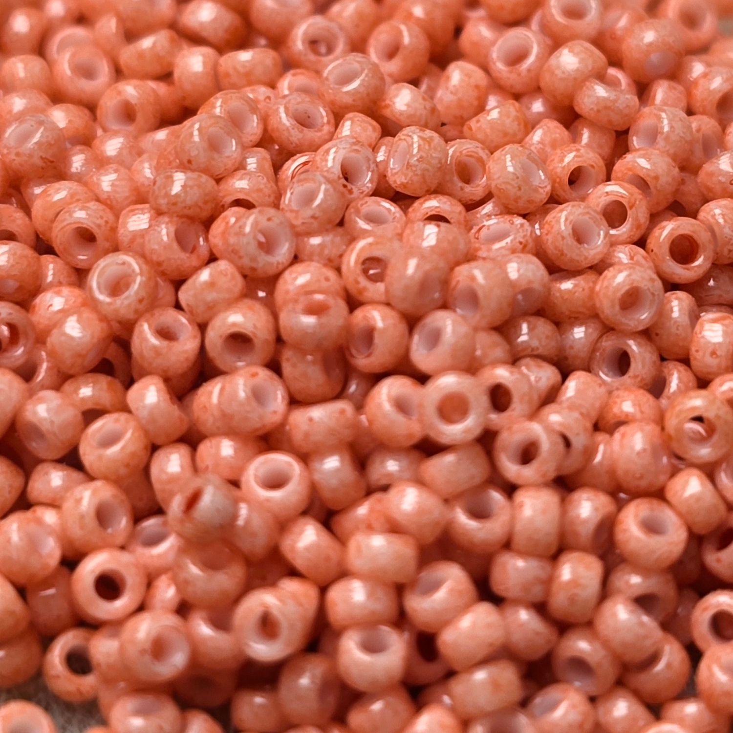 11-0403B  Miyuki *CLOSEOUT*