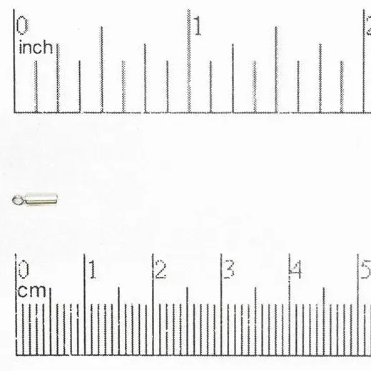 2mm End Caps: Silver Plated (6 Pieces)