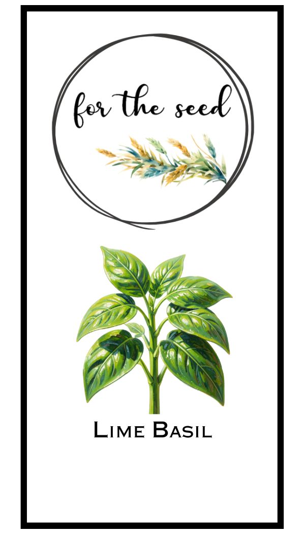 Lime Basil