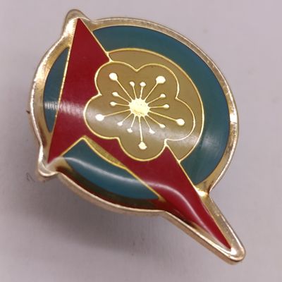 Taiwan 23rd tactical fighter squadron pin badge