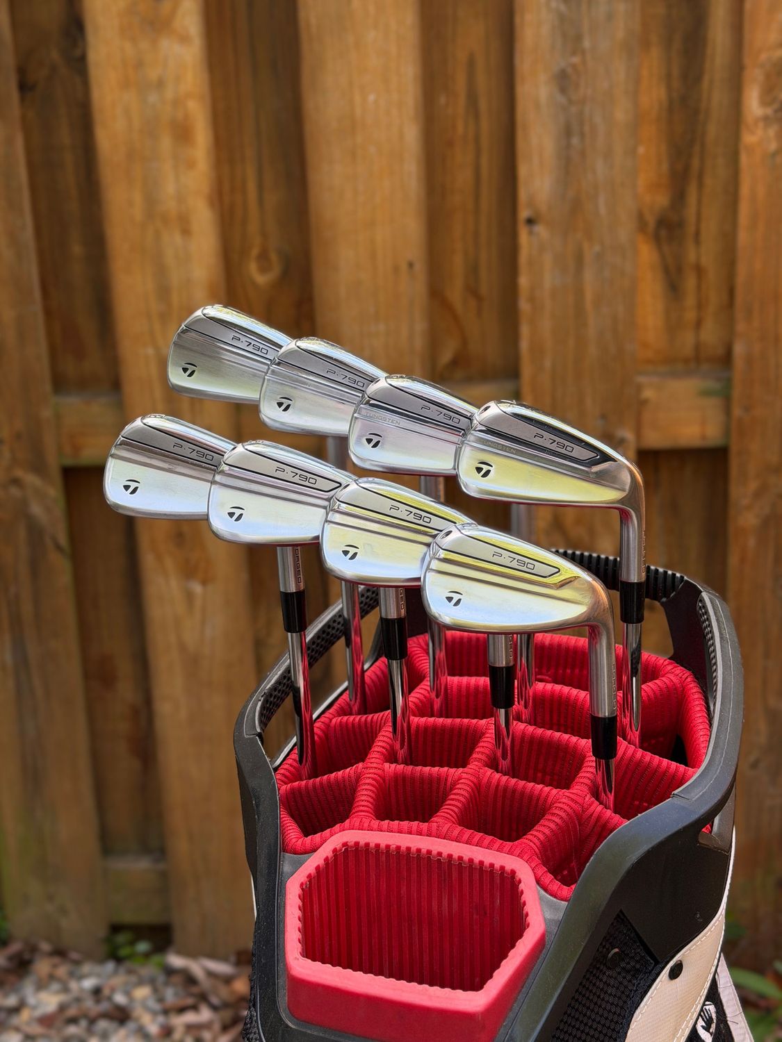 Taylormade P790 Iron Set (1"Extended)