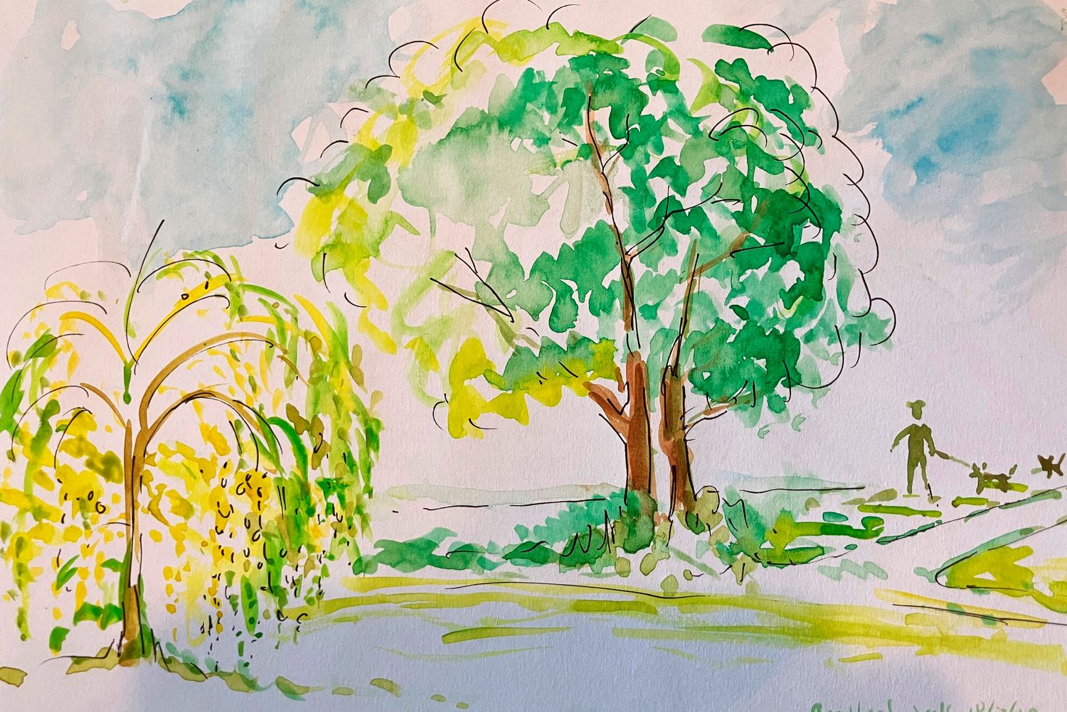 ORIGINAL -Readhead Park Willow Tree and a Dog 18/7/20