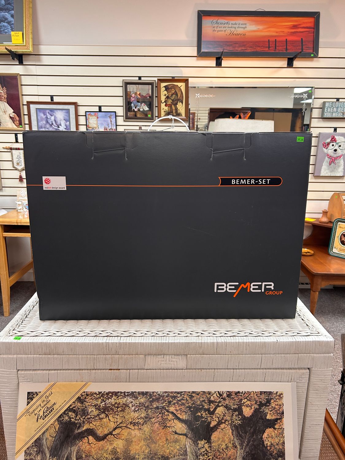 BEMER PRO SET Professional Advanced PEMF Therapy Machine