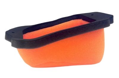 Filter, Air, Twin Air (Beta Sincro)