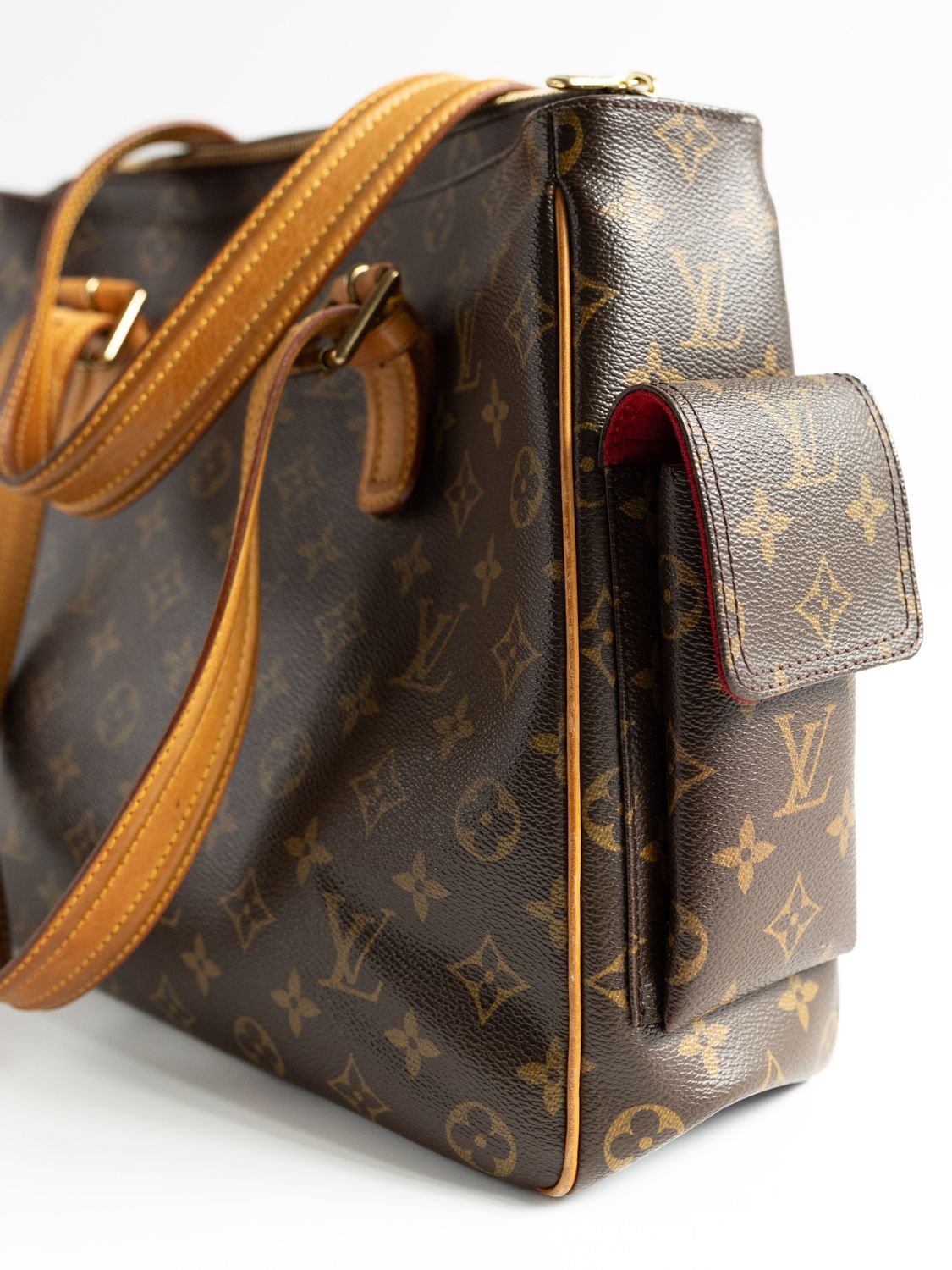 Louis Vuitton Viva Cité GM Bag
