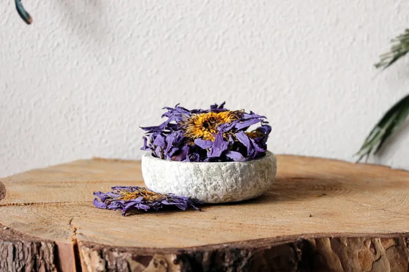 Lotus thee ~ Lotus tea