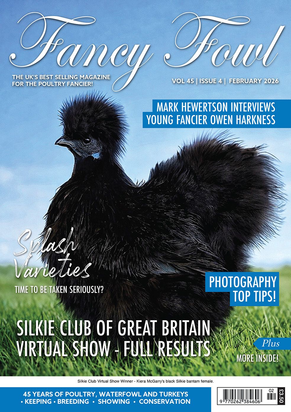 Fancy Fowl - February 2026