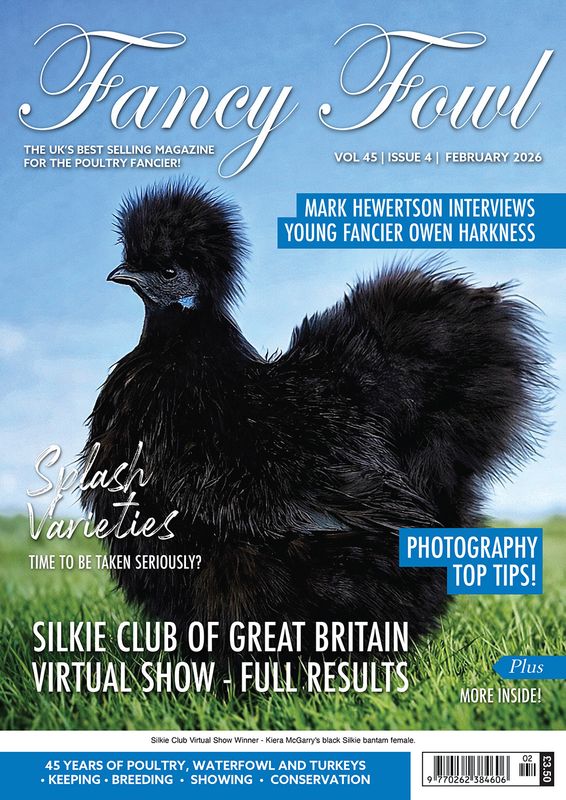 Fancy Fowl - February 2026