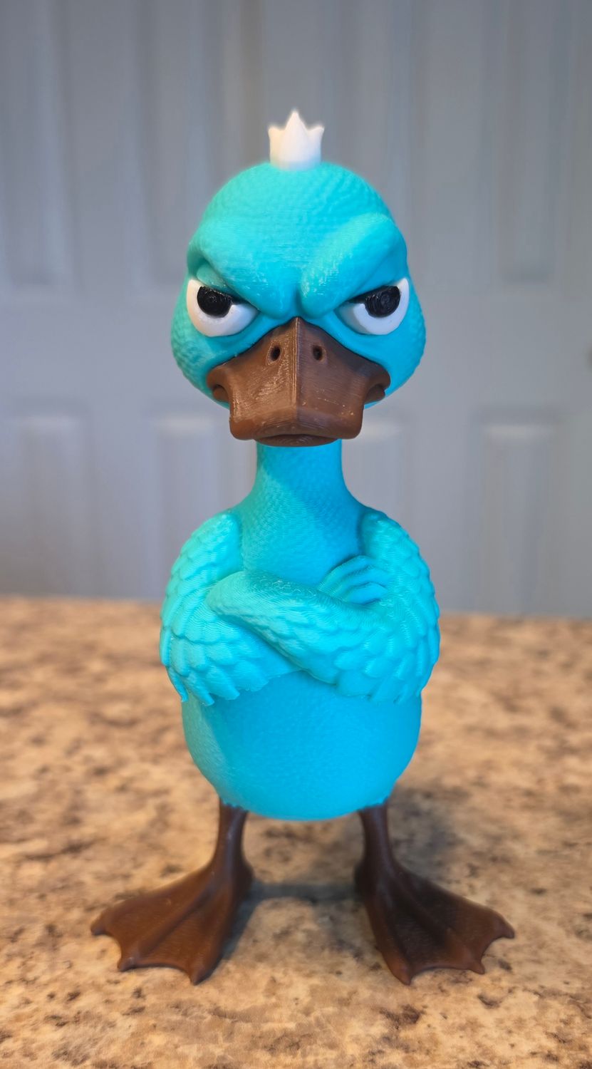 3D Grumpy Duck