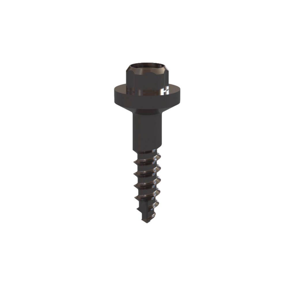 Anchor Screw | Șurub Prescanbody