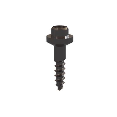 Anchor Screw | Șurub Prescanbody