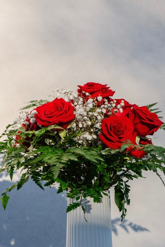 Demi Dozen Rose Bouquet