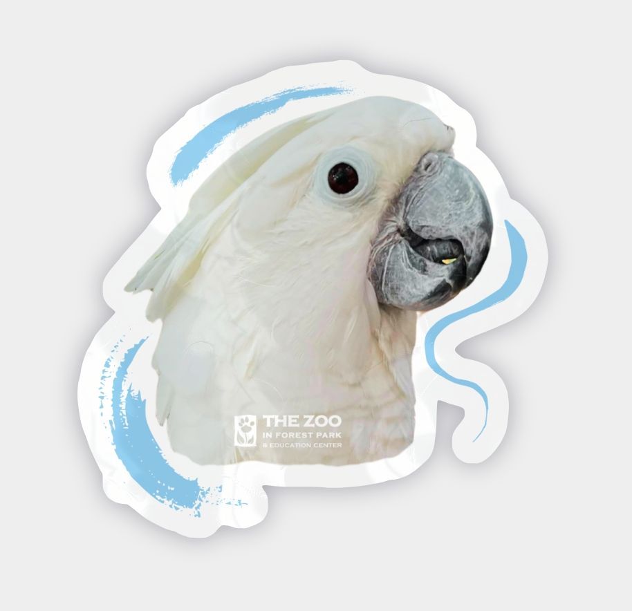 Cockatoo Brushstroke Vinyl Sticker