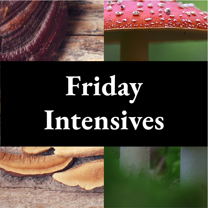 2026 Conference Intensives