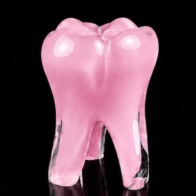 Glass Tooth - Pink Enamel