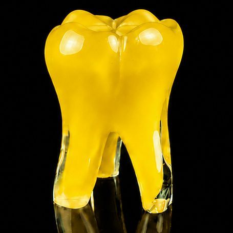 Glass Tooth - Yellow Enamel